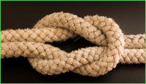 Eliza Taylor's Marital Journey: Who Did She Tie The Knot With?